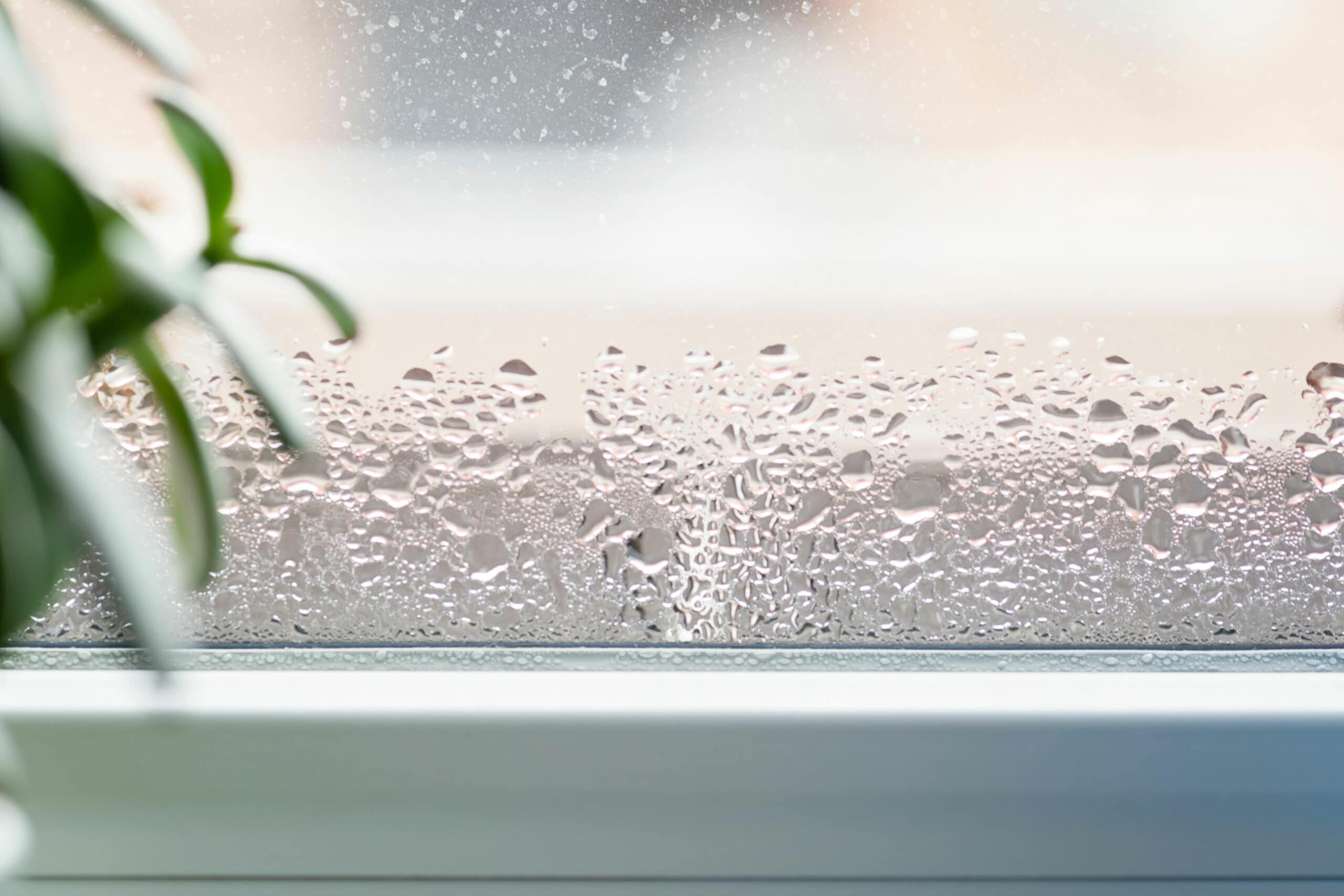 Wassertropfen am Fenster bei zu hoher Luftfeuchtigkeit